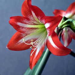 Similar image 19606784