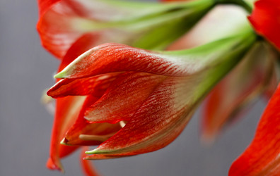 Similar image 19606787