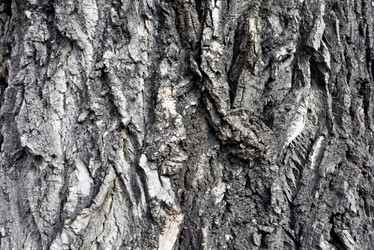 Similar image 19606788