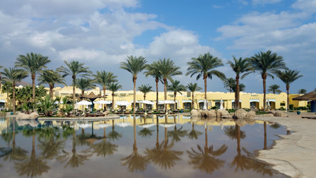 Similar image 19775212