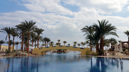 Similar image 19775213