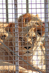 Similar image 19606938