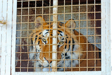 Similar image 19606939