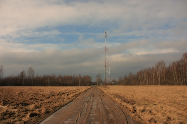 Similar image 19775268