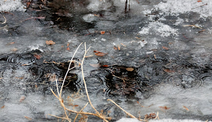 Similar image 19606958