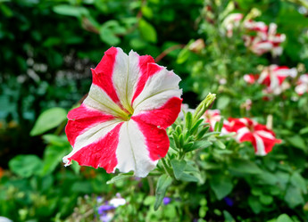 Similar image 19776469