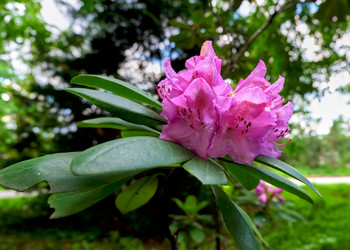 Similar image 19776521