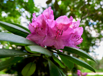 Similar image 19776543