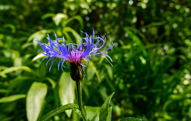 Similar image 19776618