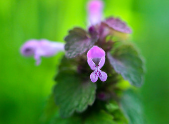 Similar image 19776619