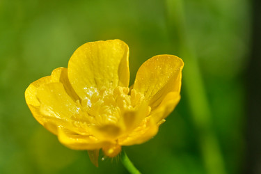 Similar image 19777147