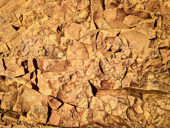 Similar image 19742179