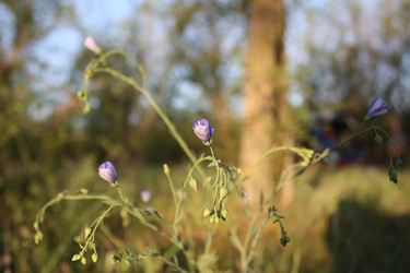 Similar image 19775279