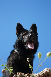 Similar image 19775296