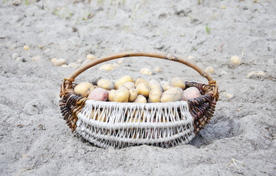 Similar image 19775171