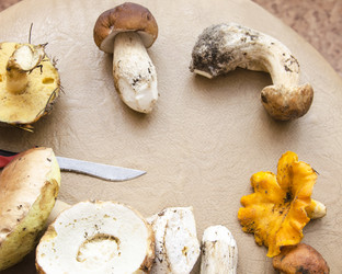 Similar image 19775172