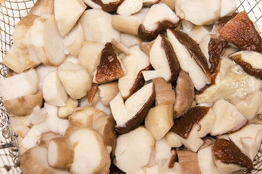 Similar image 19775174