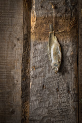 Similar image 19775832