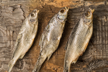 Similar image 19775837