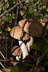 Similar image 19775298