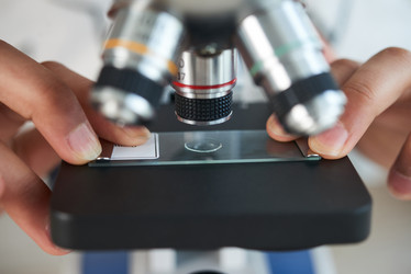 Similar image 19791042