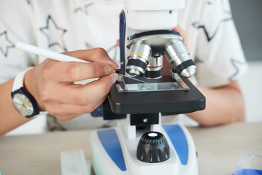 Similar image 19791012