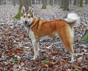 Similar image 19775192