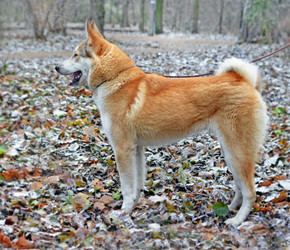 Similar image 19775194