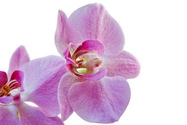 Similar image 19775200