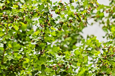 Similar image 19785472