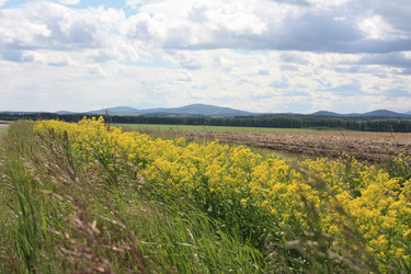 Similar image 19775304