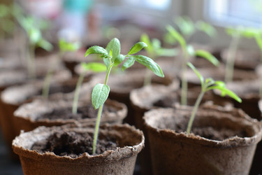 Similar image 19775306