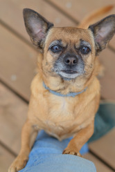 Similar image 19775307