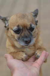 Similar image 19775309