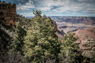 Similar image 19793027