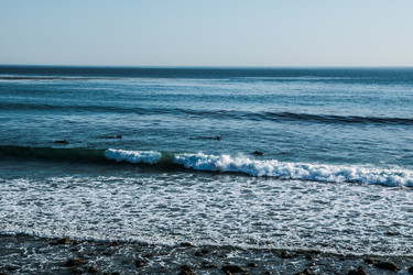 Similar image 19775273