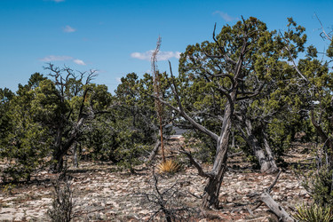 Similar image 19793046