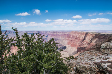 Similar image 19793063