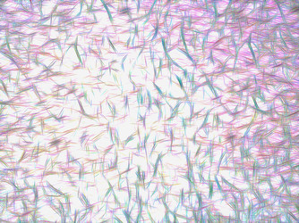 Similar image 19795233