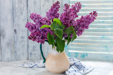 Similar image 19777217