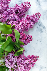 Similar image 19777225