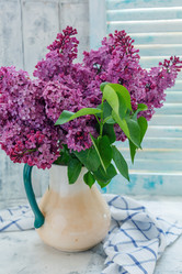 Similar image 19777229