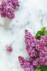 Similar image 19777230