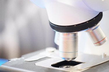 Similar image 20117696