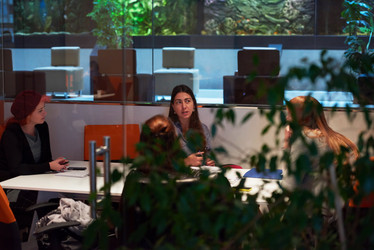 Similar image 19963857