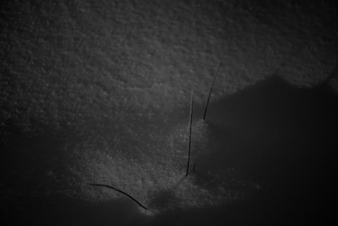 Similar image 19971649