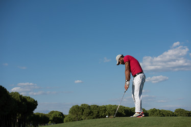 Similar image 19965840