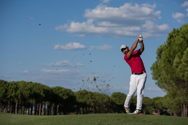 Similar image 19965904