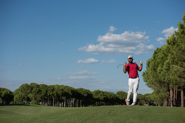 Similar image 19965970