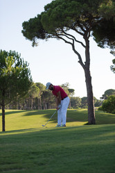 Similar image 19965990